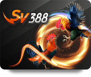 Stay Updated with Live Scores Using FUN88 App Mobile